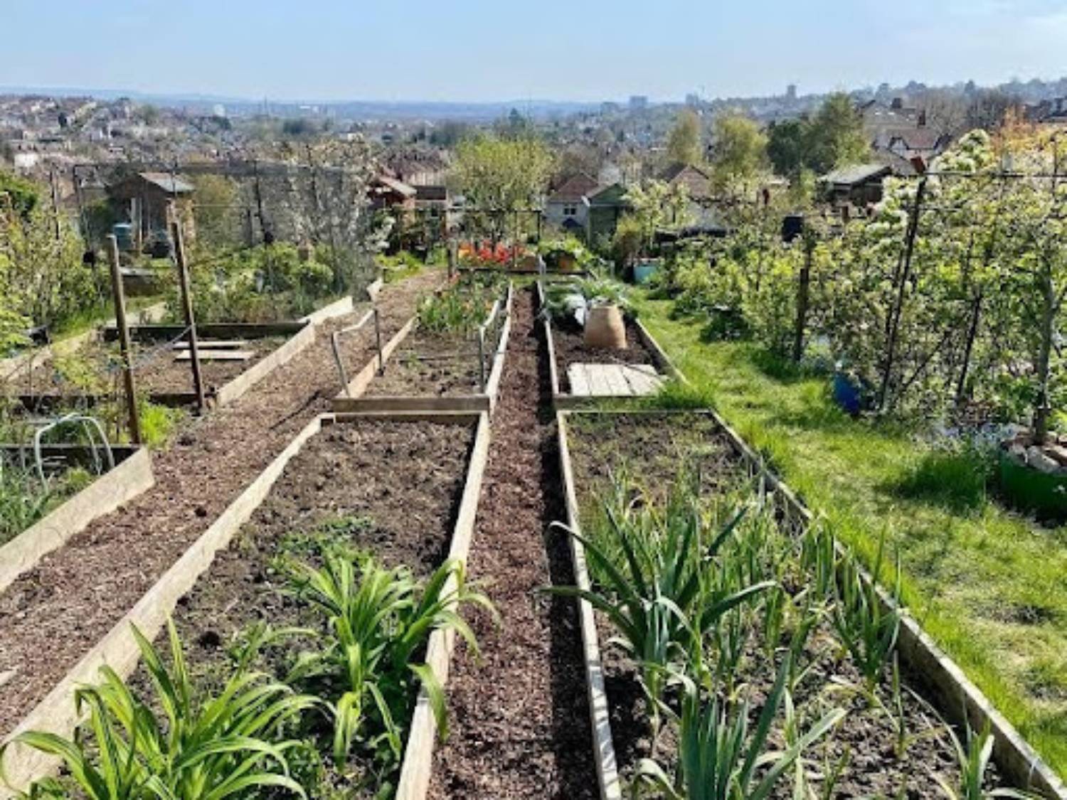 Gardeners