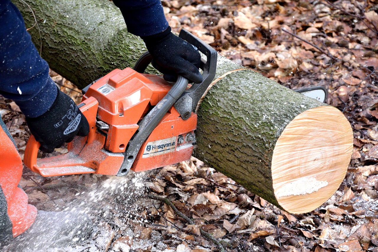 Hire Tree Surgeons For The Right Trimming And Pruning Of Trees