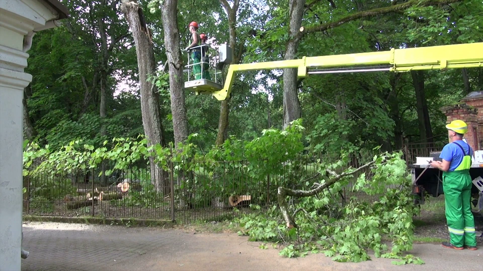 Tree surgeons